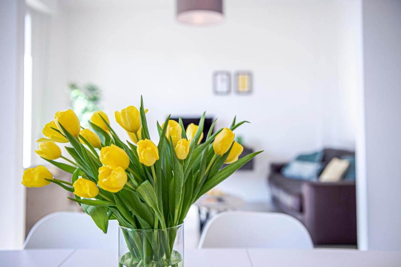 San Frediano Jewel Apartment Florence Luaran gambar